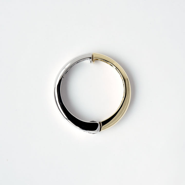 2 Color Round Earrings