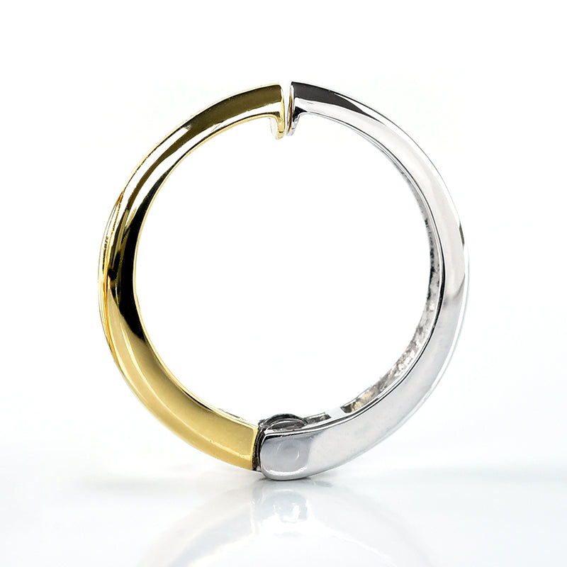 2 Color Round Earrings