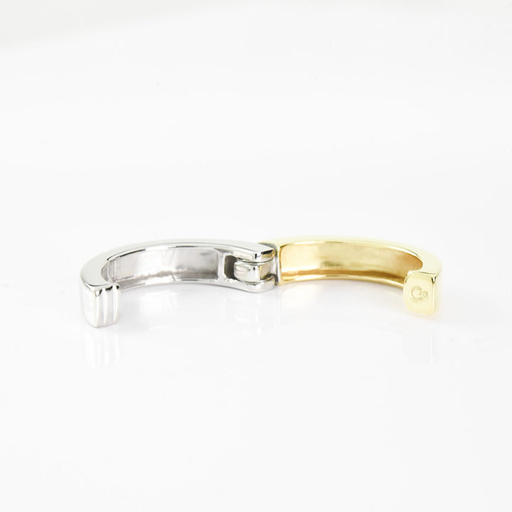 2 Color Hoop Earrings