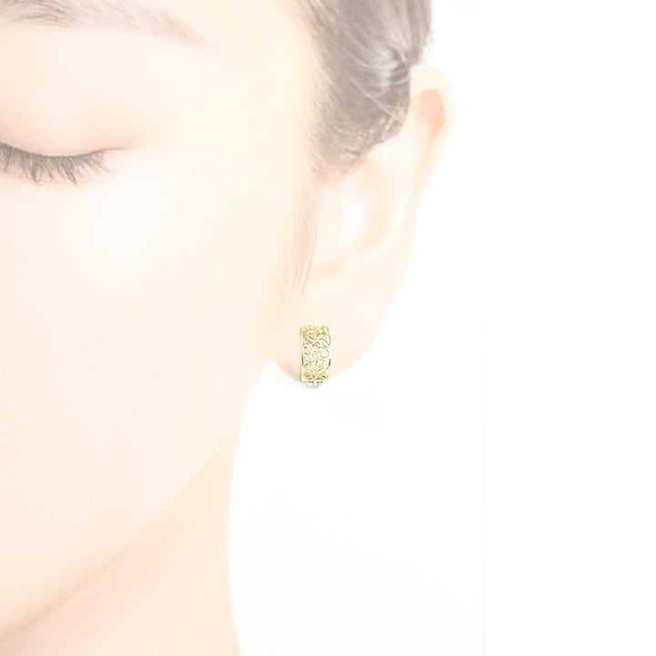 2 Color Paisley Hoop Earrings